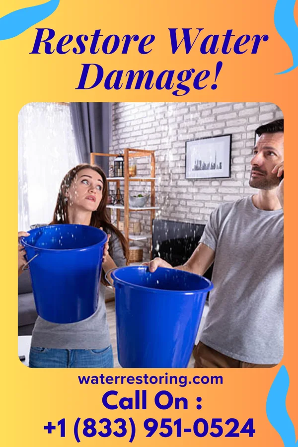 water restoration Platinum Drying & Associates Afton