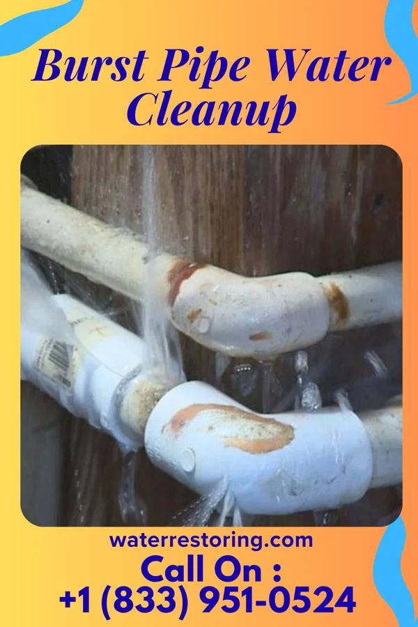 Burst Pipe Water Cleanup in Afton, MN