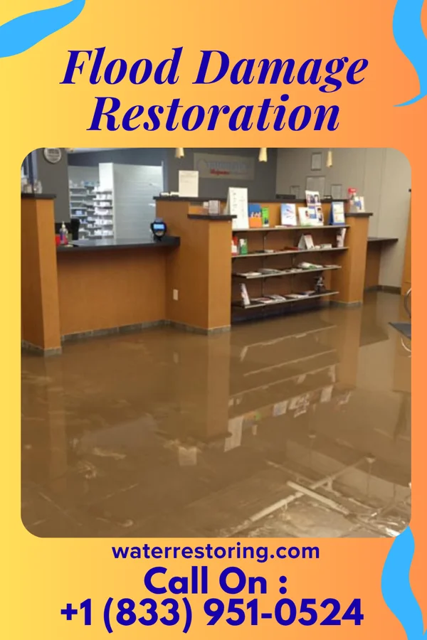 Flood Damage Restoration in Afton, MN
