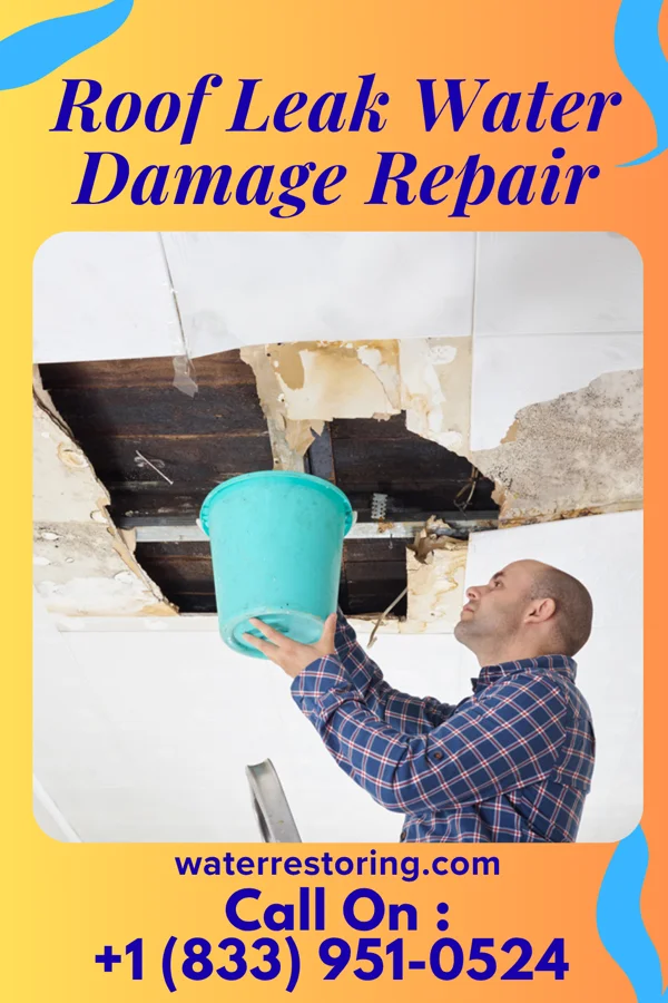 Roof Leak Water Damage Repair in Afton, MN