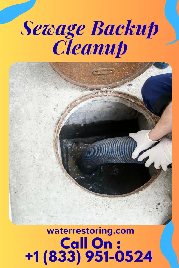 Sewage Backup Cleanup in Afton, MN
