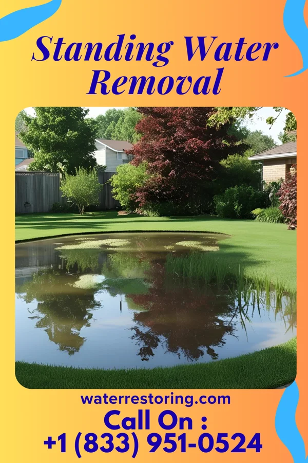 Standing Water Removal in Afton, MN